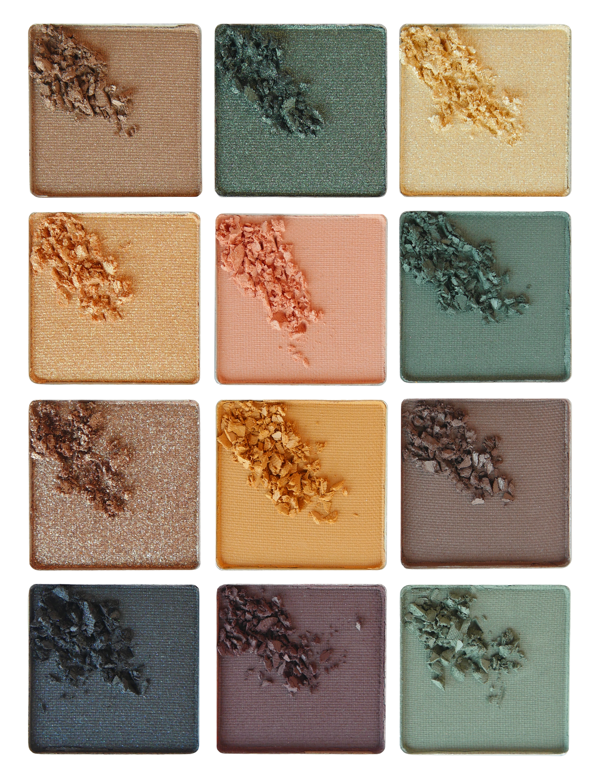 12 Colour Eyeshadow Palette Wild Forest