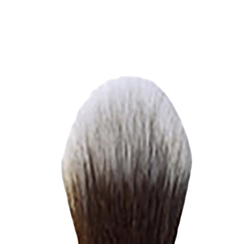 Large Blender Brush