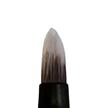 Lip Brush